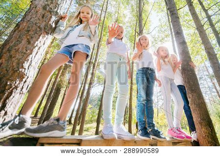 Bottom-up View. Five Girlfriends On A Walk In The Summer Forest. Waving Their Hands In The Camera. B