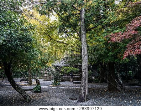 Autumn Scenery Of Kyoto, Japan