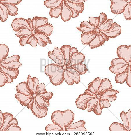 Seamless Pattern With Hand Drawn Pastel Impatiens