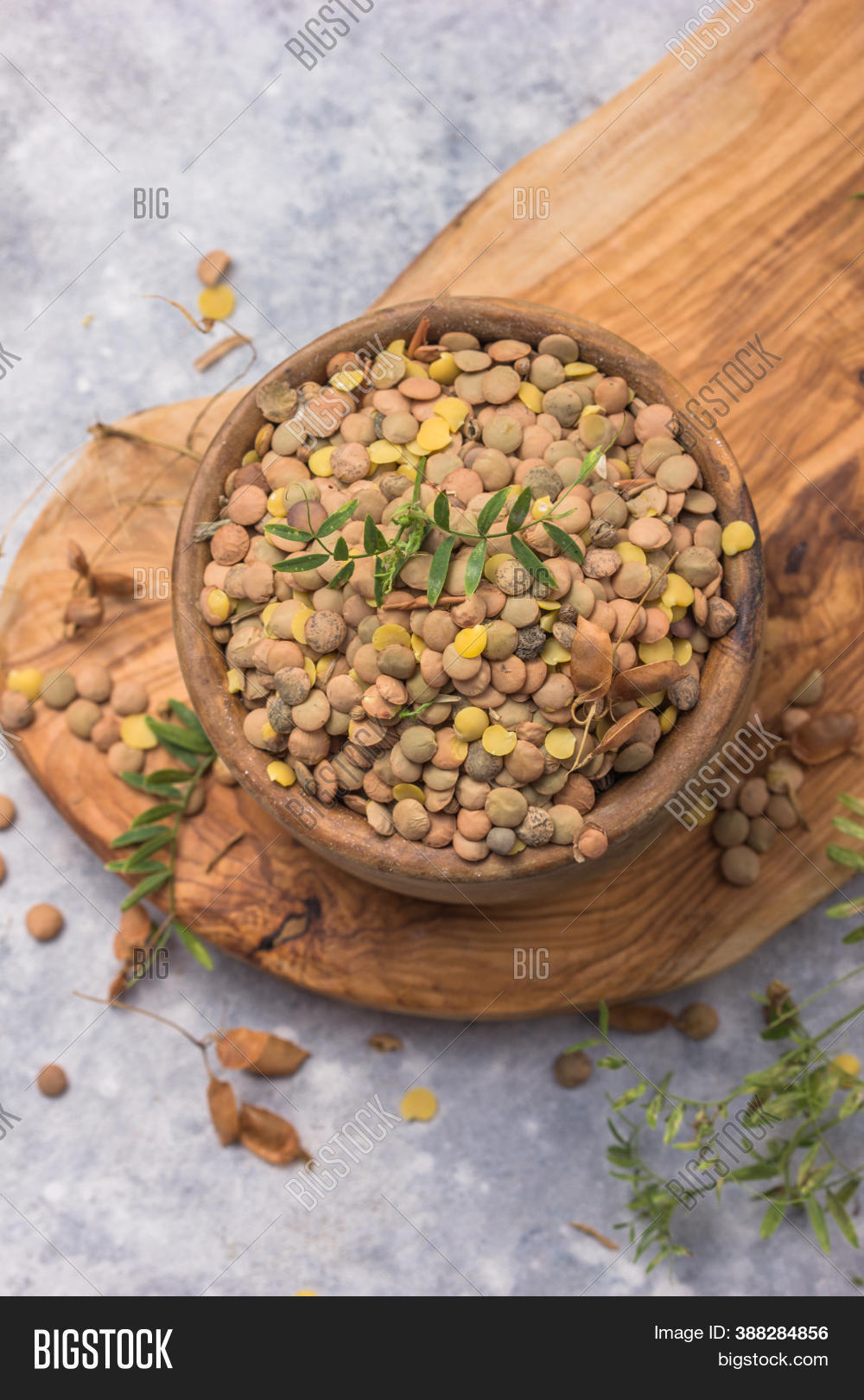 Uncooked Lentil Image & Photo (Free Trial) Bigstock