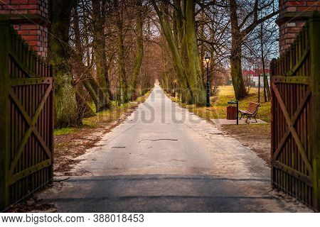 Open Wooden Gate On Oak And Lime Tree Alley With Vintage Lit Street Lamps. Road Leading To Henryk Si