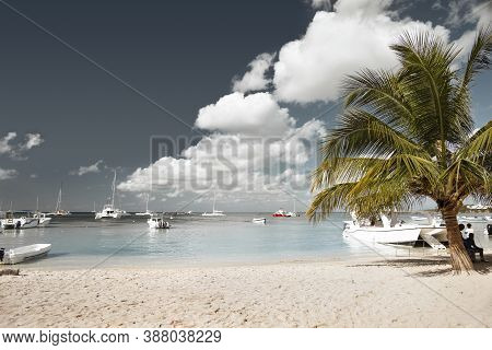 Caribbean Sea. Harbor For Tourist Boats And Catamarans
