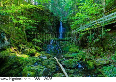 Views Along The Dickson Falls Trail, In Fundy National Park, New Brunswick, Canada