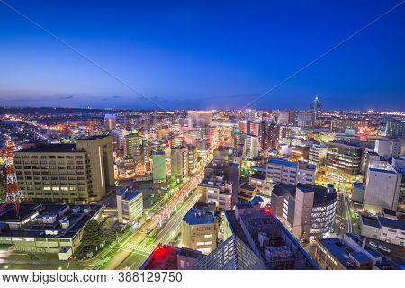Toyama City, Japan downtown skyline aerial view at night.