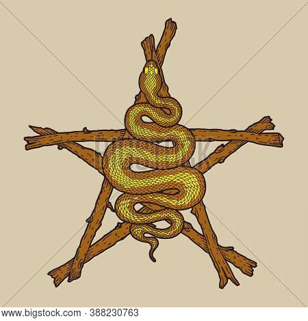 Coiled Snake Over Sticks Pentagram Detailed Illustration. Tribal Occult Brown Serpent Isolated. Vect