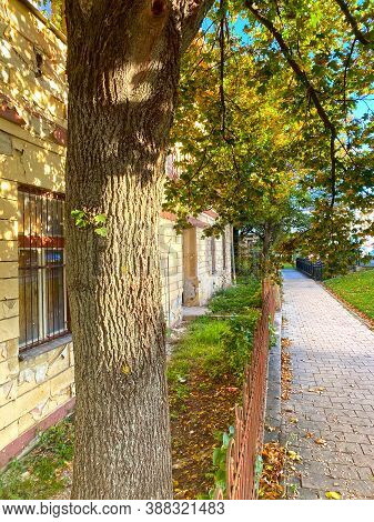 Beautiful October Autumn Street With Old Yellow Building. Tree With Green And Golden Leaves. Sidewal