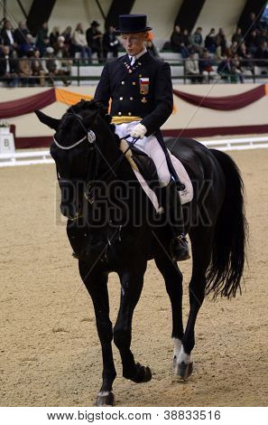 KAPOSVAR ฮังการี - 14 ตุลาคม: Fabrizio Sigismondi และม้าของเขา (Az โคโรราโด) ใน Dres