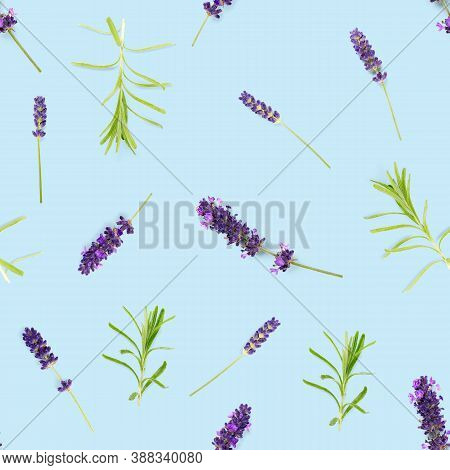 Seamless Pattern Made From Lavendel Flowers Isolated On Blue. Fresh Blossoms. Floral Pattern.
