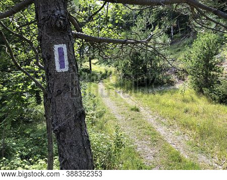 Strazica - Sapacica Land Art Trail - Ucka Nature Park, Croatia