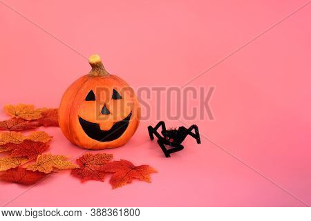 Halloween And Automne Background With Pumpkin With Big Smile And Colorful Of Autumn 'leaves  On  Pin
