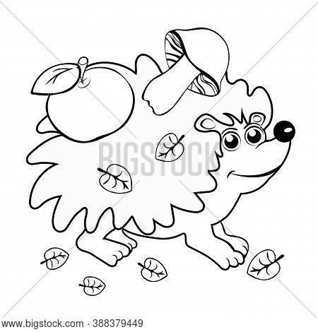 Cute Hedgehog Vector Photo Free Trial Bigstock Shop for hedgehog art from the world's greatest living artists. bigstock