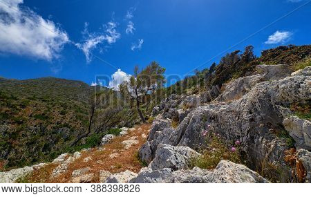 Typical Greek View, Mountains, Bushes, Rocky Slopes, Wind-swept Olive Trees, Blue Sky, Great Clouds.