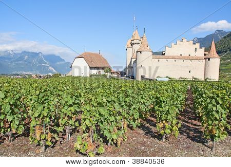 Slavný zámek Chateau hnízdo v kantonu Vaud, Švýcarsko