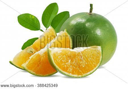Calamansi Or Green Orange Fruits Isolated On White Background