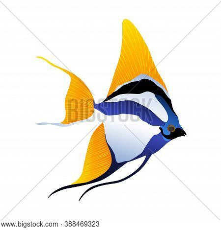 Decorative Sea Or Aquarium Fish On White Background. Freshwater Or Saldwater Aquarium Cartoon Fish. 