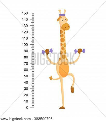Funny Giraffe. Cheerful Funny Giraffe With Long Neck. Giraffe Meter Wall Or Height Chart Or Wall Sti