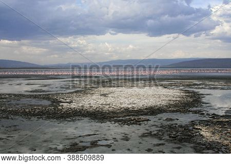 The Lake Nakuru With Flamingos In The Nakuru National Park