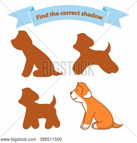 Find The Correct Shadow Dog Is Sitting.educational Game For Children Cute Puppy.