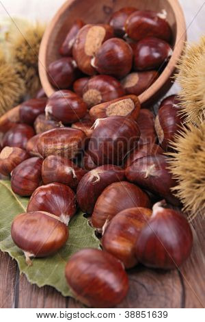 chestnut