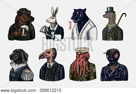Grizzly Bear With A Beer Mug. Octopus Sailor And Hare Or Rabbit Waiter. Dog Officer And Bird. Black 