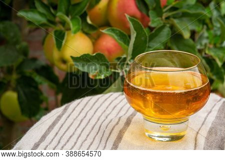 Glass Of Apple Cider From Normandy, France And Green Apple Tree With Ripe Red Fruits On Background