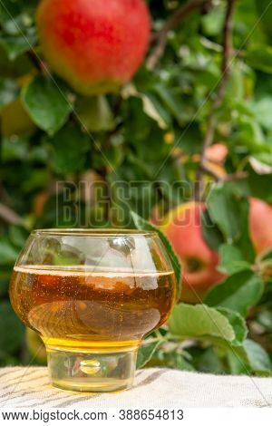 Glass Of Apple Cider From Normandy, France And Green Apple Tree With Ripe Red Fruits On Background