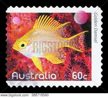 Australia - Circa 2010: A Used Postage Stamp From Australia, Depicting An Image Of A Golden Damsel F