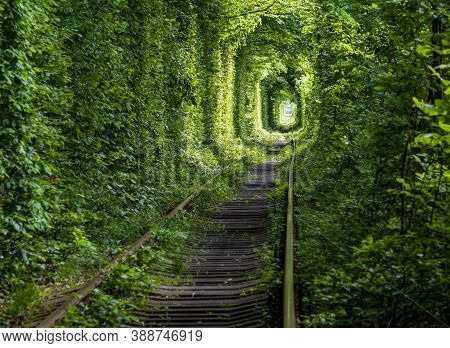 Love Tunnel (railway Section Located In Forest Near Klevan, Ukraine. So Named Because Before By This