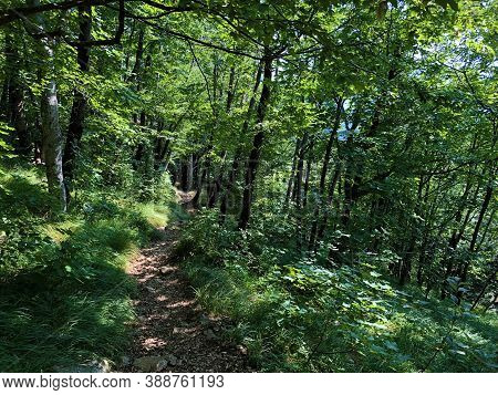 Hiking Trails, Forest Paths And Bicycle Roads In The Ucka Nature Park, Croatia