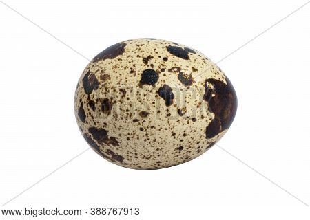 Macro Shot Quail Egg Isolated On White Background. Quail Eggs Close-up Isolated On A White Backgroun