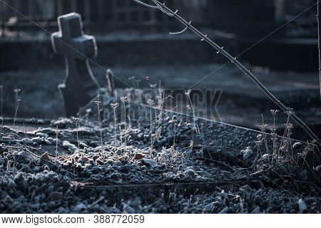 Beautiful Frozen Grass On Cold Autumn Fall Morning In Cemetery Graveyard With Old Stone Tombstone Gr