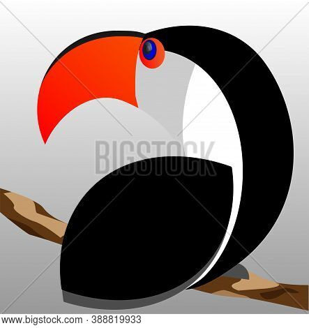 Tucan Logo Isolated On Gray Background , Colorful Vector Icon