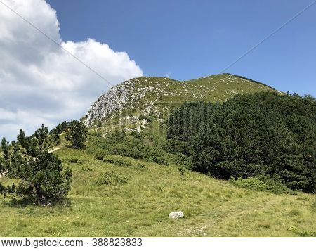 Sparse Forests And Pastures On The Ucka Mountain And In The Ucka Nature Park - Istria, Croatia