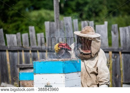 Bee Master On Apiary. Man In Protective Hat Works With Chimney In The Beehive. Beekeeper Examining B