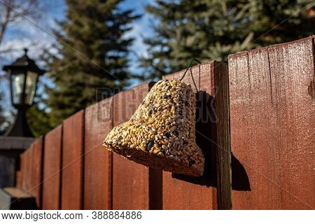 Bell From Various Grains, A Delicacy For All The Birds In The Garden