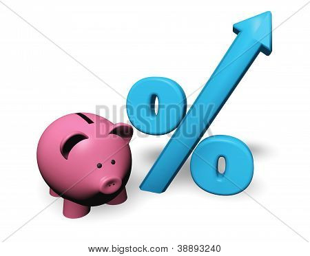 Piggybank Growing Percent