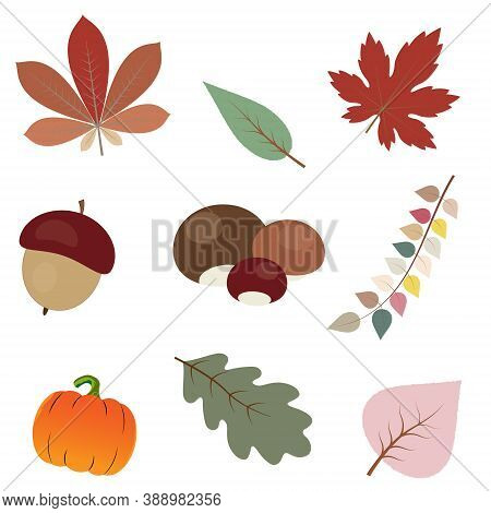 Vector Of Autumn. Set Of Cute Colorful Icon Collection Isolated On Beige Background