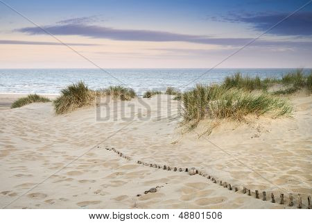 Grassy Sand Dunes Landscape At Sunrise