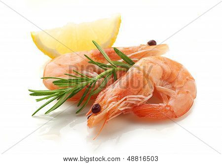 Shrimps