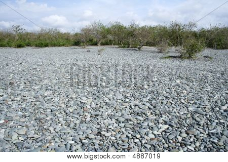 Spiaggia di ghiaia