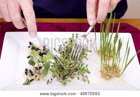 Grow your own Dinner