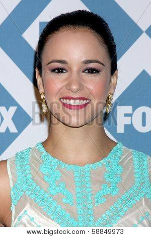 LOS ANGELES - Jan 13:  Melissa Fumero at the  FOX TCA Winter 2014 Party at The Langham Huntington Hotel onJanuary 13, 2014 in Pasadena, CA