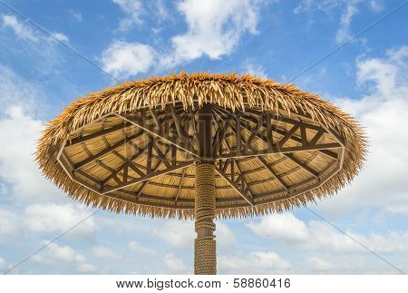 Bamboo umbrella