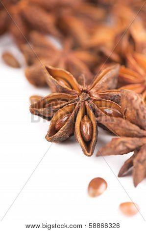 Whole Star Anise isolated on white background