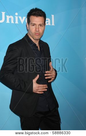 LOS ANGELES - JAN 19:  Jon Seda at the NBC TCA 2014 Winter Press Tour at The Langham Huntington Hotel on January 19, 2014 in Pasadena, CA