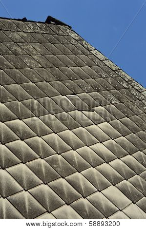 Shingle