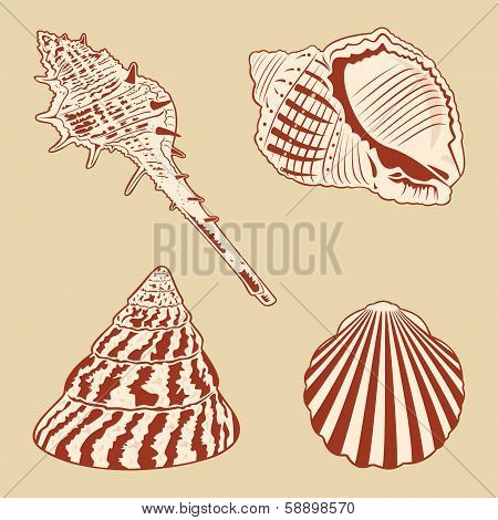 Vintage Shells Set. Vector EPS10 illustration.