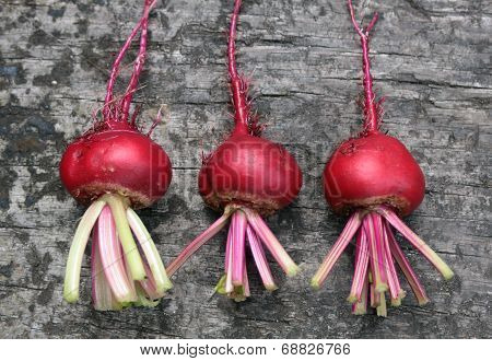 Beets