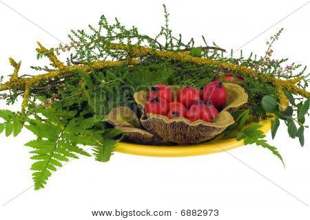 Beeren von einem Hawthorn und Holz