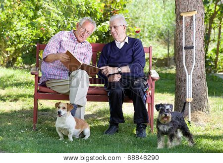 Seniors With Dogs